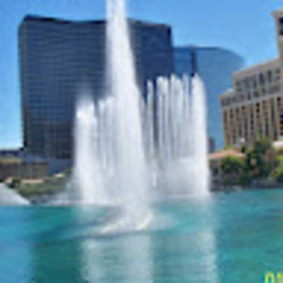 Meet your Posher, Paul - Picture 1 of 1